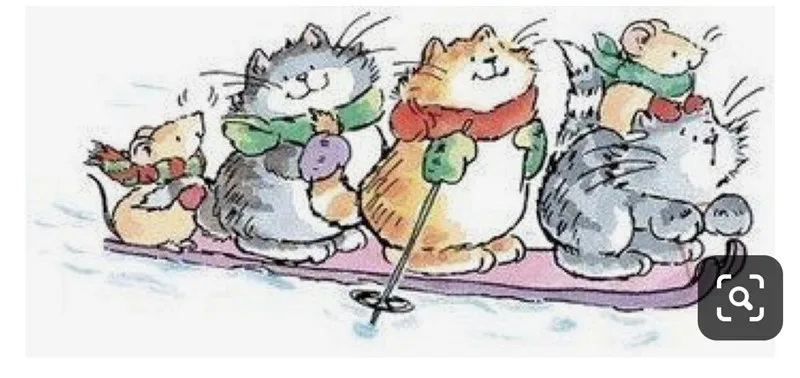 Прозрачные силиконовые штампы для катания на лыжах 10 х6 дюймов|Штампики| |