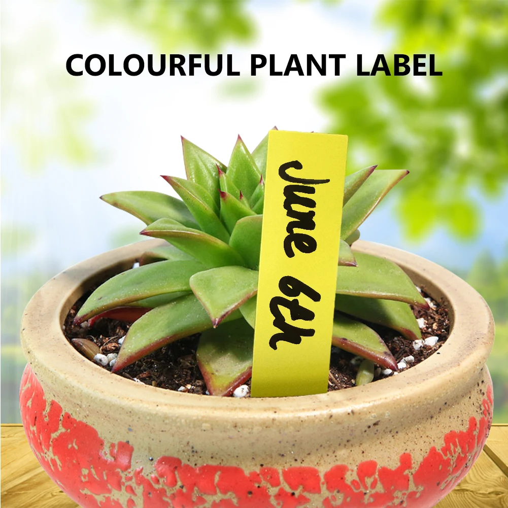 

100pcs Plastic Stick/T-type Convenient Waterproof Tags Nursery Tree Flower Pots Labels Thick Plant Tag Tray Mark for garden tool