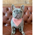 Шарф-бабочка для собак, регулируемый, YKC17