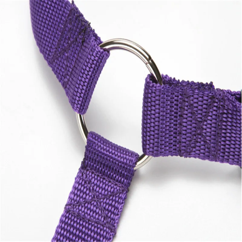 Автомобильный ремень безопасности для домашних животных автомобильный собак