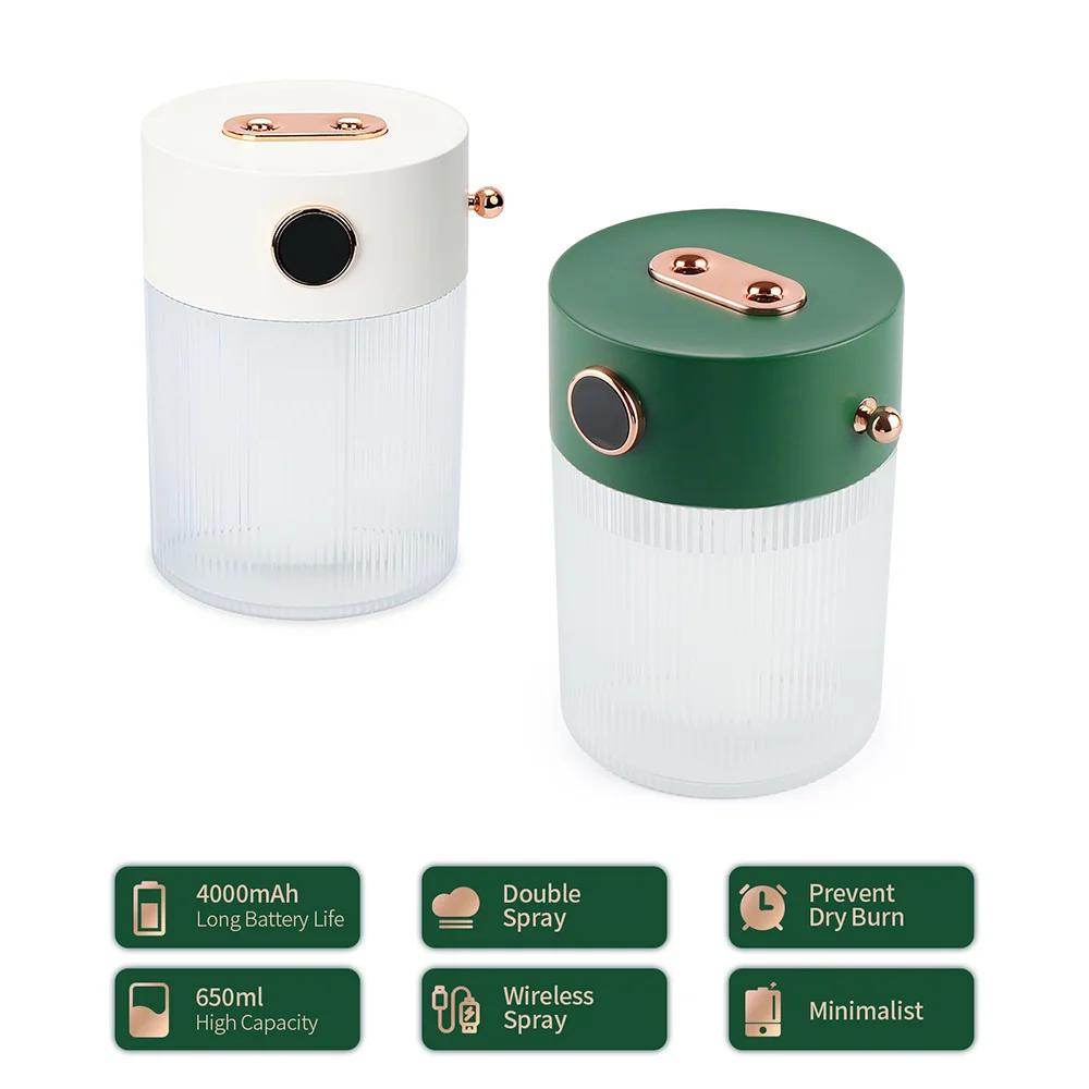 650 мл двойной спрей ультразвуковой увлажнитель воздуха с украшением в виде