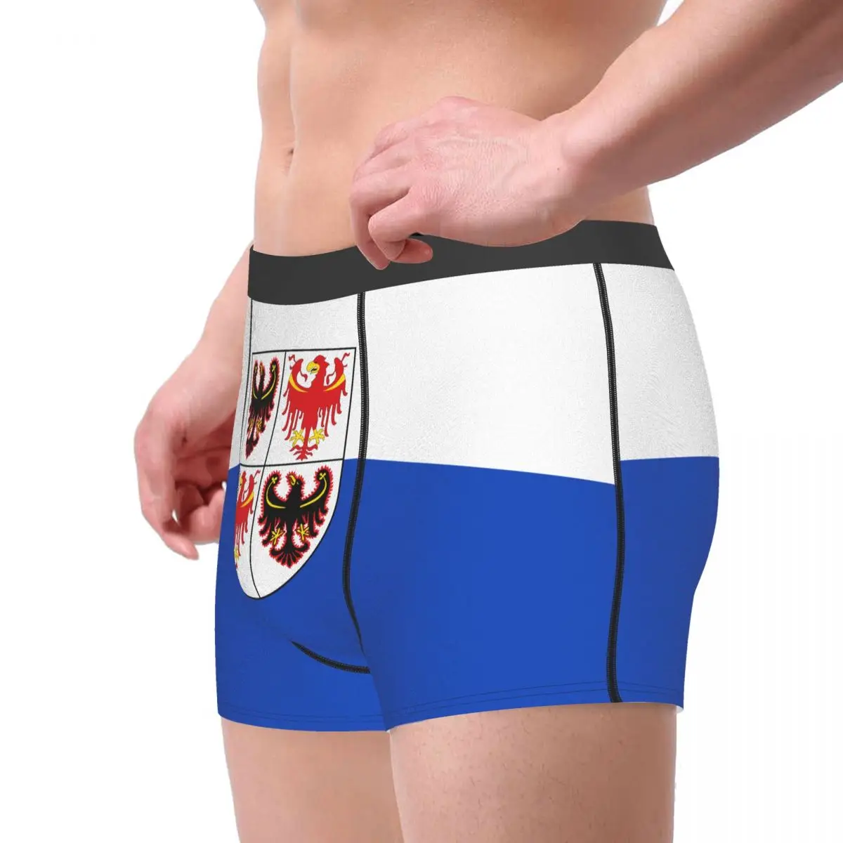 Flag Of Trentino-South Tyrol Men's Boxer Briefs regions of Italy Funny Novelty elastic pants for men