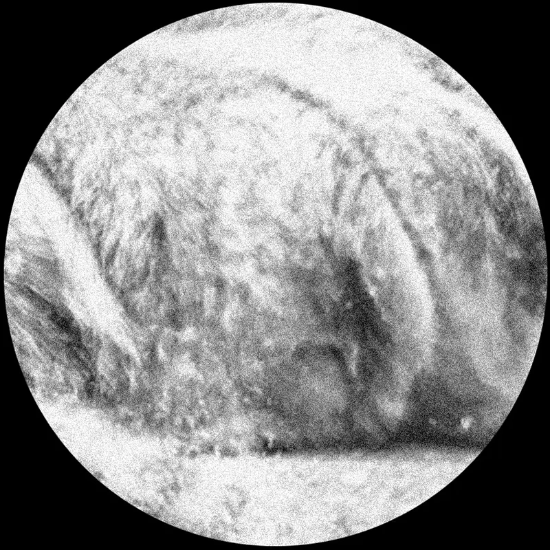 Фотообои на заказ фотообои с изображением Льва черно-белых животных 3D обои для