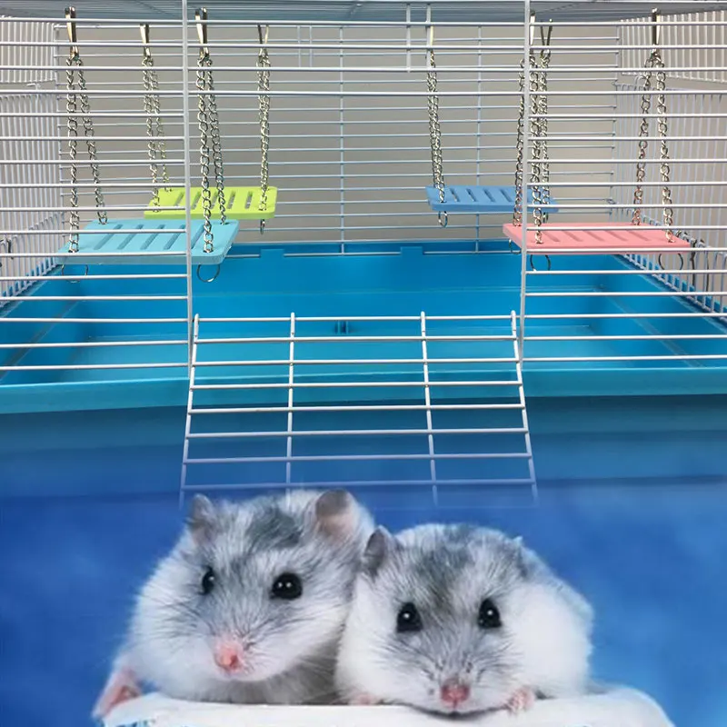 Симпатичный Хомяк для домашних животных маленький качель подвесная игрушка