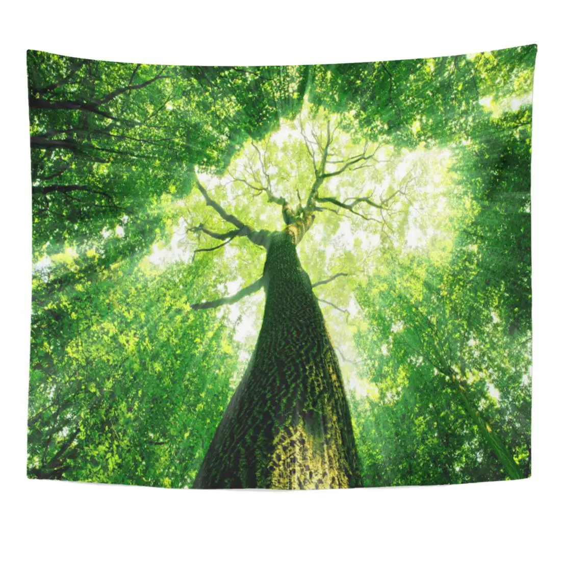 

Beauty Forest Trees Nature Green Wood Sunlight Pathway Path Home Decor Wall Hanging