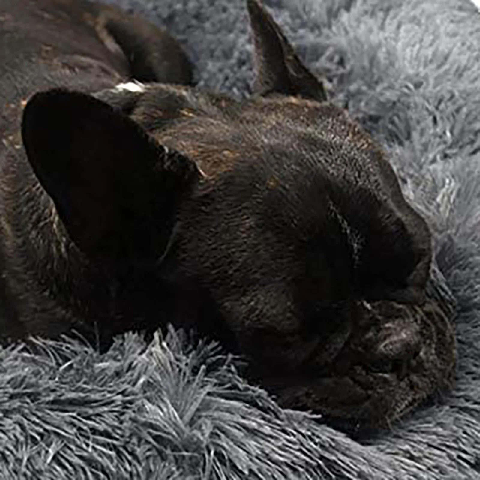 

Pet Dog Bed Fluffy Soft Plush Donut Cuddler Round Dog Kennel Ultra Soft Washable Dog Cat Cushion Bed Winter Warm Sofa Hot #M