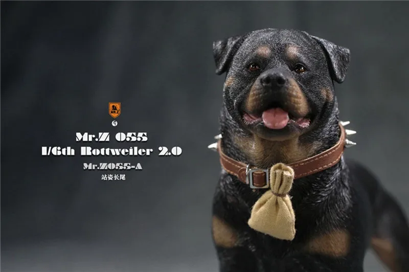 

MRZ055 1/6 Rottweiler Model MOS Pet Dog Statue Scene Props Accessories Fit 12'' Action Figure Dolls