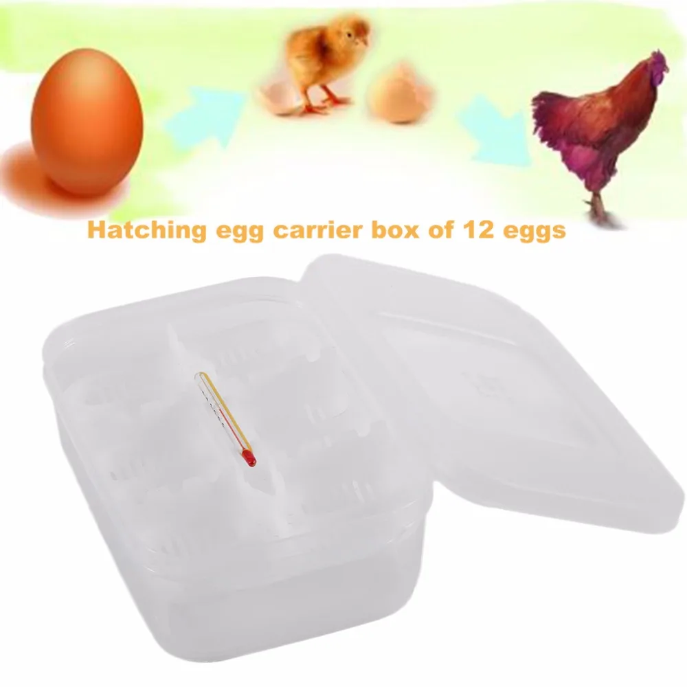 Пластиковый лоток для яиц рептилий Geckos с 12 отверстиями инкубационный поднос