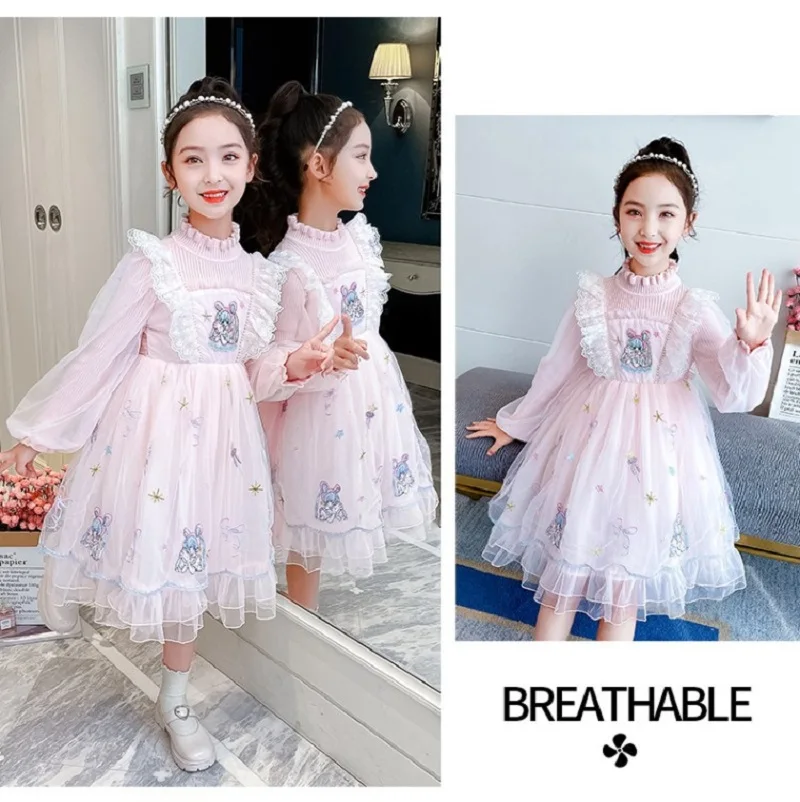 

Girls Autumn Winter Sweater Princess Dresses Embroidered Lace Christmas Party Dress Long Sleeve Anime Cinderella Cosplay Costume