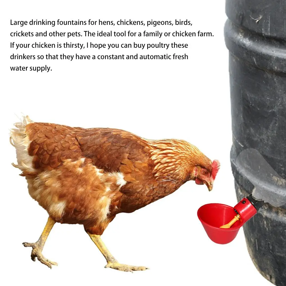 5 шт. автоматическая поилка для птицы с винтами|Кормление птиц| |