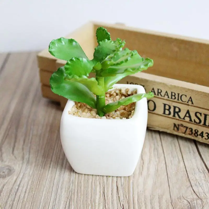 

Mini Artificial Green Plants With Ceramic Pot PVC Green Bonsai Potted Landscape Succulent & Cactus for Office Home Decoration