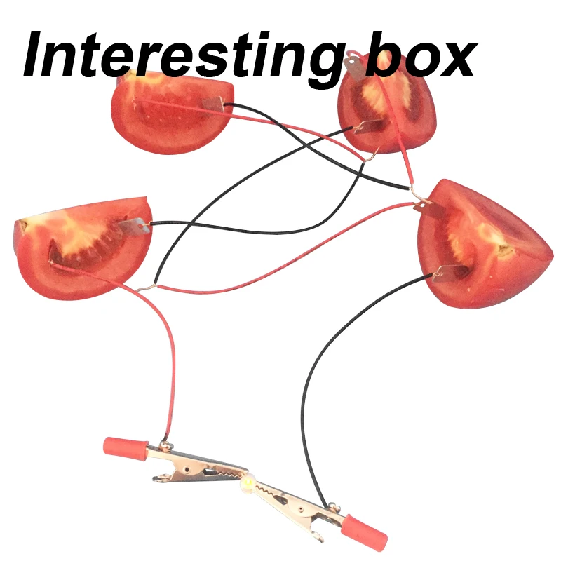 Фрукты батарея эксперимент материал посылка картофельные электроэнергии Наука
