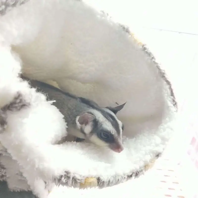 Забавный подвесной туннель для хомяка сахарный планер гамак качели клетка