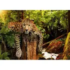 Алмазная 5D картина леопард и Тигр, сделай сам, полная выкладка, вышивка крестиком, мозаика