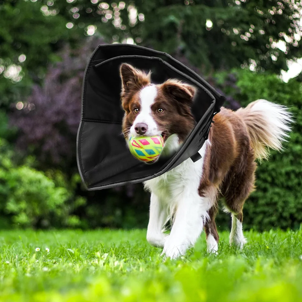 

1 шт., креативный ошейник для собак