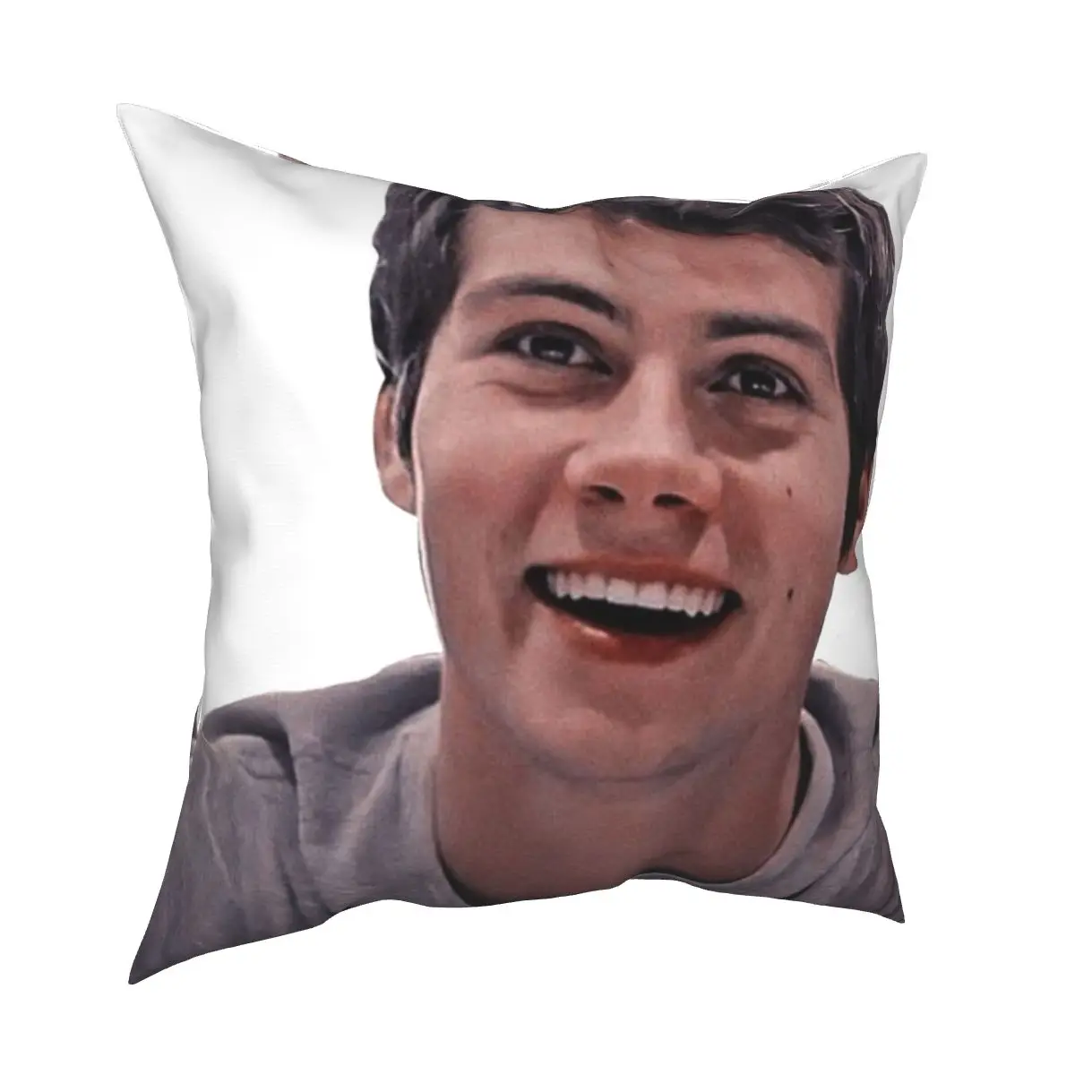 Smiling Dylan O'Brien Pillowcase Cushion Cover Decor Teen Wo