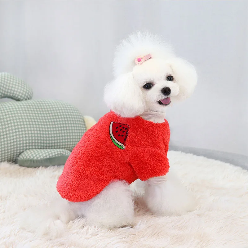 

Winter Warm Pet Sweatshirts Vegan Fruit Print Cat Clothes Puppy Kitten Fleece Clothing Fashion Autumn Korean Velvet Dog Hoodies
