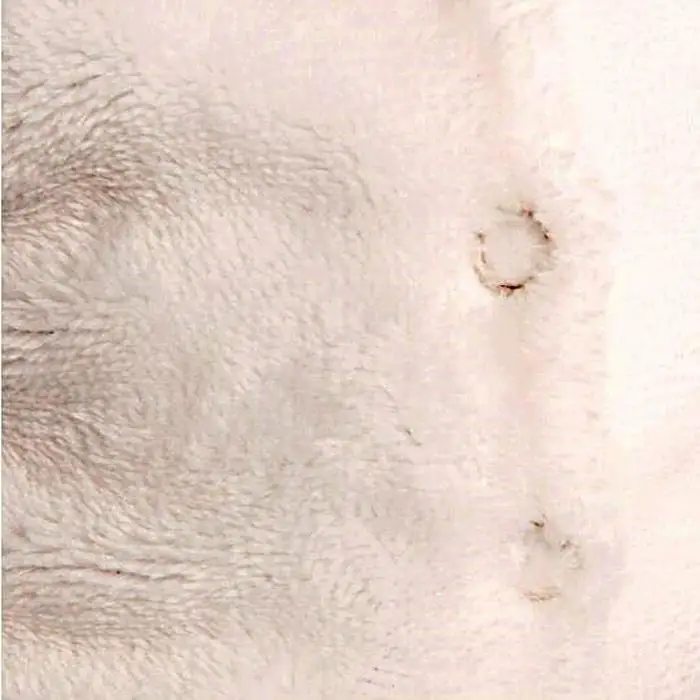 Мягкая игрушка Басик BABY в комбинезоне панда 20 см и Ко |