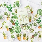 Зеленые растения бумага маленький дневник Мини японские милые коробки наклейки Набор Скрапбукинг милые хлопья журнал канцелярские наклейки Kawaii