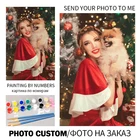 Набор для рисования по номерам на заказ, без рамки