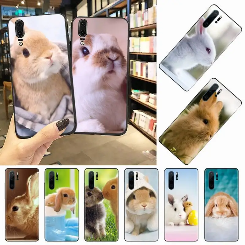 

Rabbit animal cute Phone Case For Huawei honor Mate 10 20 30 40 i 9 8 pro x Lite P smart 2019 Y5 2018 nova 5t