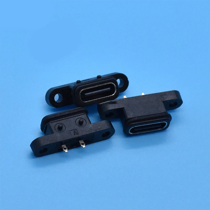 TYPE-C 2Pin водонепроницаемый Женский USB C разъем с двойным отверстием для винта