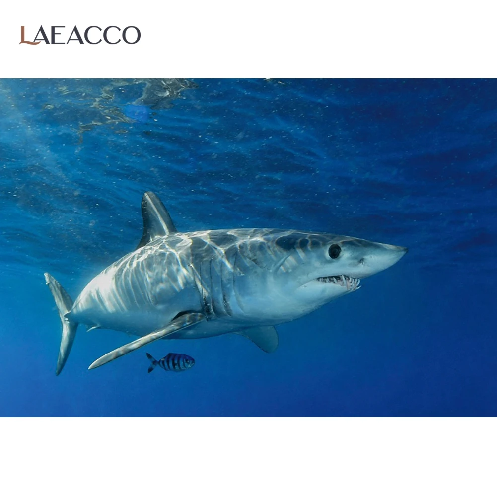 Laeacco синее море подводная Рыба Акула Фотография фон аквариум баннер День