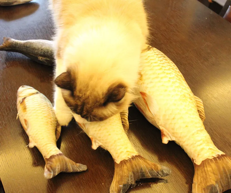 Плюшевые Творческий 3D для карпа Форма кошка игрушка в подарок милые