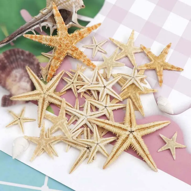 

1 Box Natural Starfish Seashell Beach Craft Natural Sea Stars DIY Beach Wedding Decoration Epoxy Resin Art Crafts1-5cm