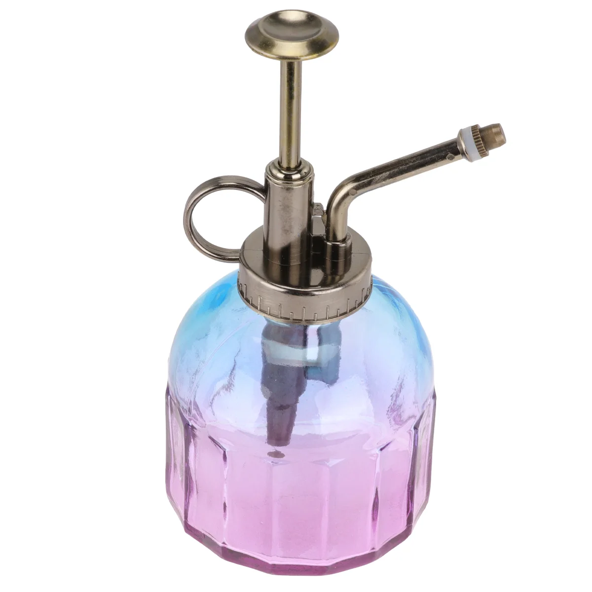 

Retro Watering Can Transparent Glass Watering Can for Succulent (Blue, Purple)