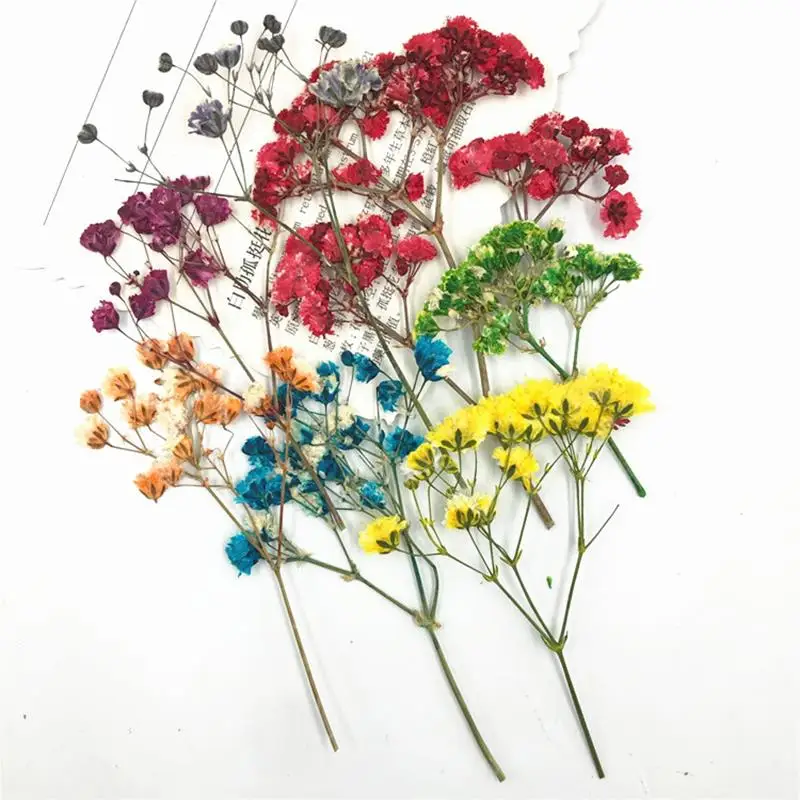 

Gypsophila DIY Dried Flowers Resin Mold Fillings UV Expoxy Flower for Nail Art Pressed Flowers for Home Decor Handicraft