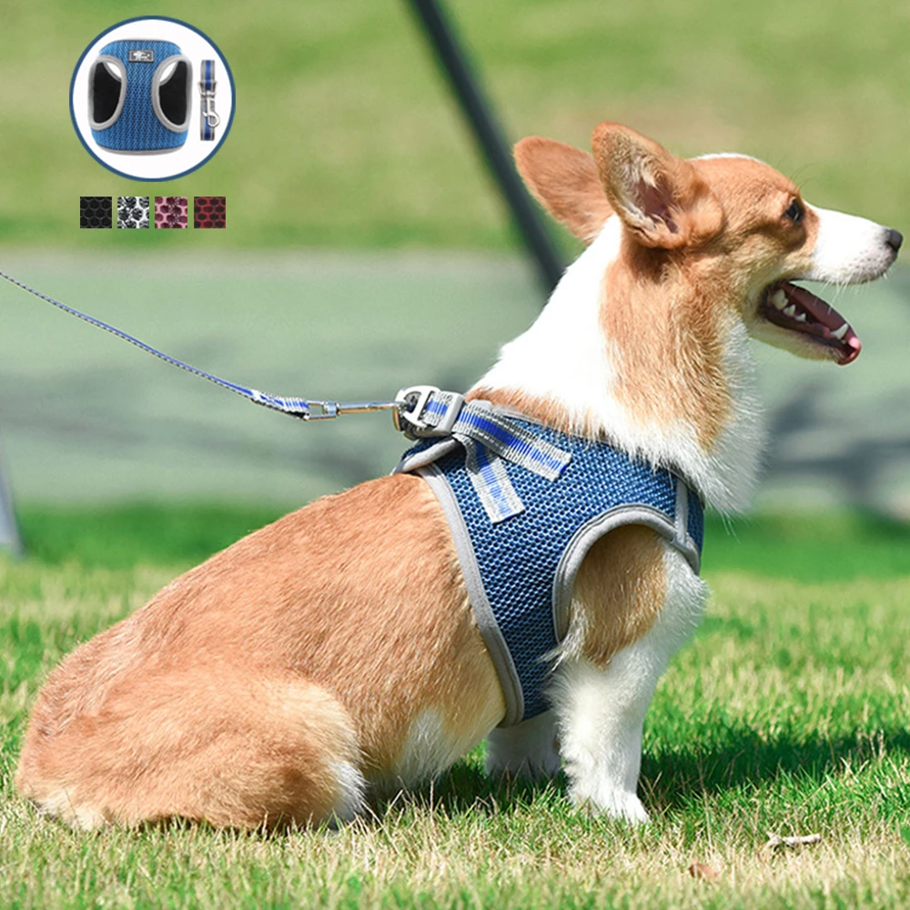 Pet кошка шлейка для собак мягкая дышащая щенка жгут жилет прогулочный нейлоновый