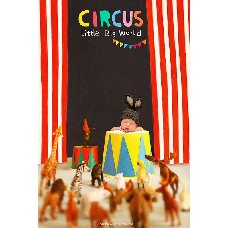 

Circus Matchbox Newborn Baby Birthday Party Scene Decoration Backdrop Photo Studio Props Photography Background Vinyl