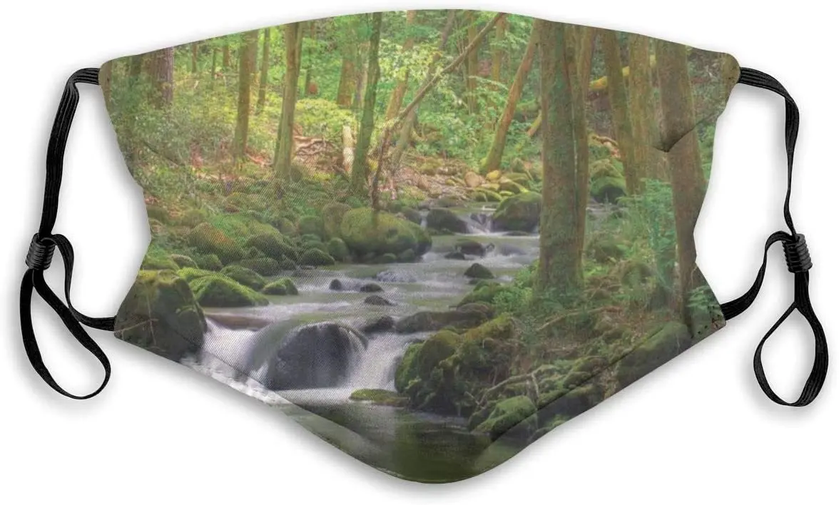

Deep Forest Path Gurgling Streaml Dust Mask Designer Mask Adjustable Mask Washable Reusable Mask With Two PM2.5 Filter Refills