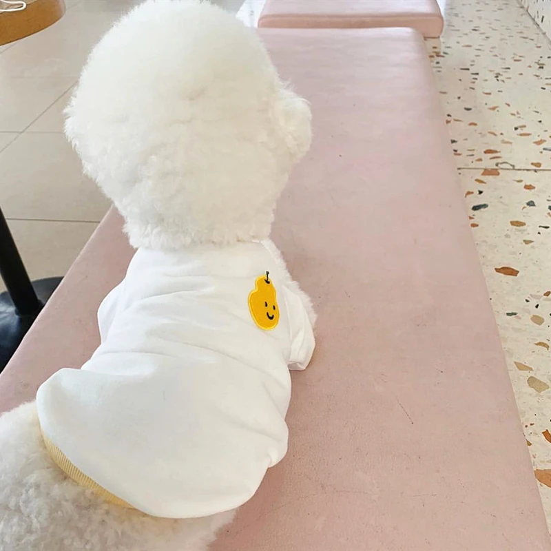 

Pure cotton pet dogs and cats summer thin sweaters fruit print Teddy Schnauzer Bibby about small dog clothes