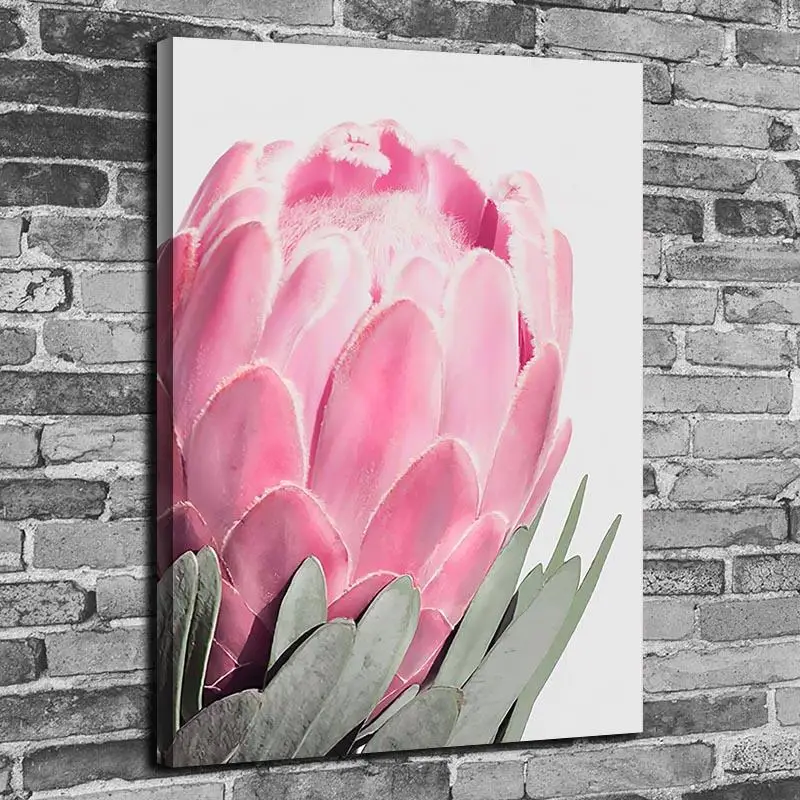 Kopen Protea Cyanoides Poster Verf Op Canvas Schilderijen Home Decor Voor Woonkamer Decoratie Moderne Kunst Mode Foto Muur Art 5Y