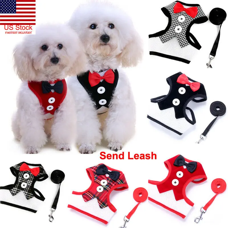 Регулируемый поводок для собак мягкий легкий Обувь с дышащей сеткой жилет