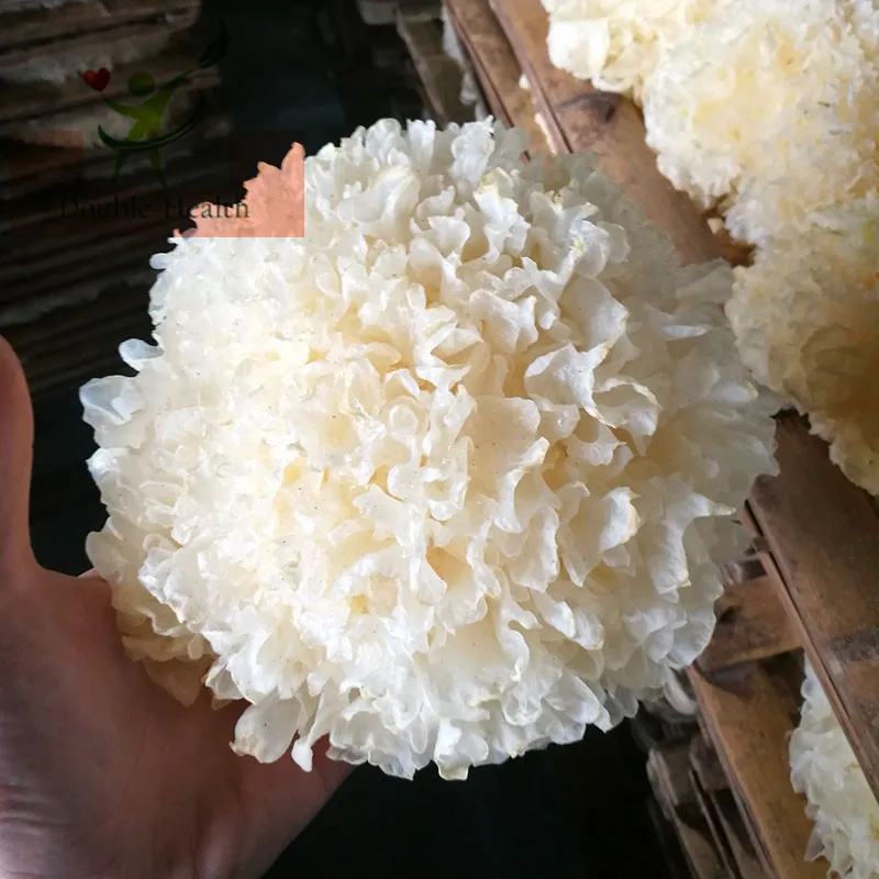 

Tremella Dried Mushrooms Snow White Fungus Silver Ear Snow Fungus
