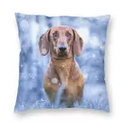 Чехол-наволочка двухсторонний для автомобиля, 45x45 см, с принтом в виде таксы