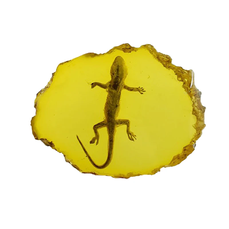 Горячие XD Желтый янтарь геккон янтарные украшения для настоящие образцы