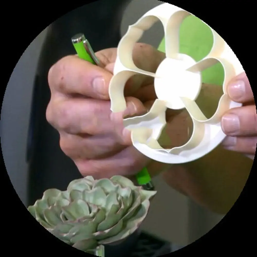 Горячая Новинка 6 шт./компл. розовый цветок суккуленты помадка резак форма для