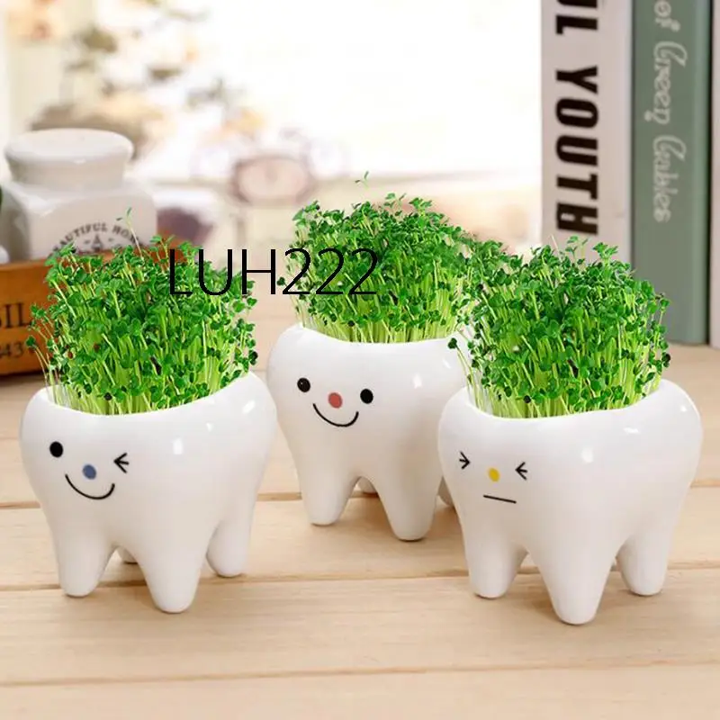 

1Pc Bonsai Ceramic Flower Pot DIY Small Planter Succulent Plants Tooth Shape Pot
