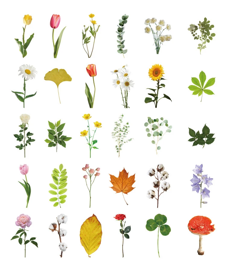 Стильные открытки с натуральными цветами и листьями 30 шт. многофункциональные