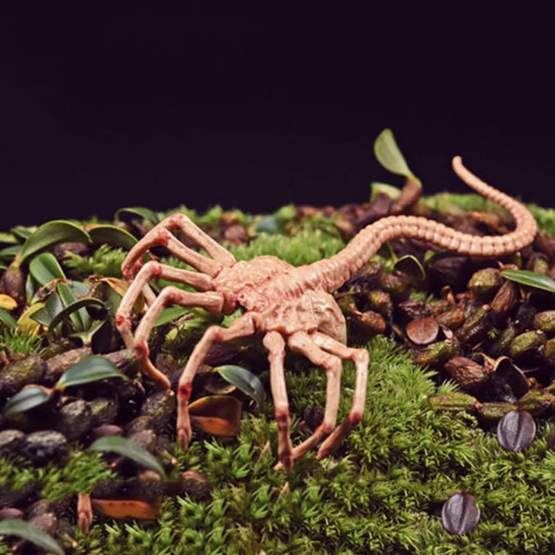Горячая Распродажа 1/6 Хищник Чужой Facehugger Модель Рисунок Аксессуар игрушка