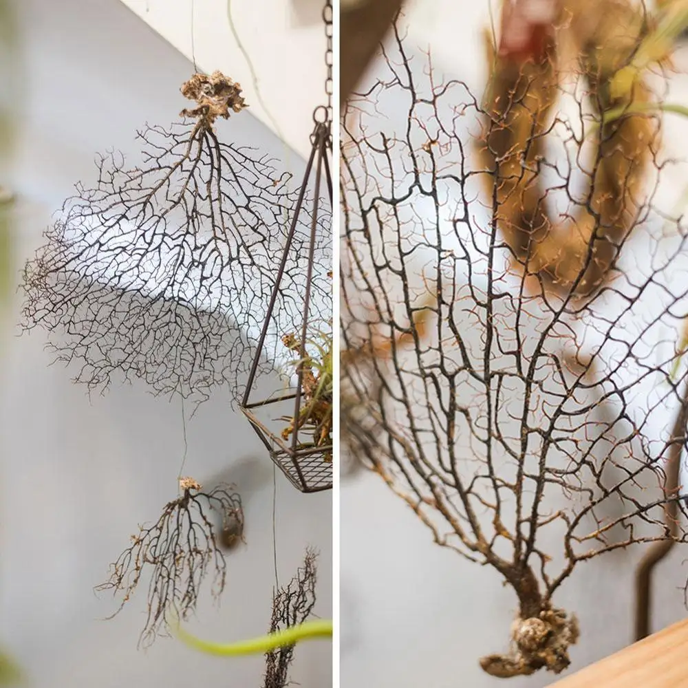 Дерево из морской ивы железное дерево Коралловая ветка красная ивовые украшения