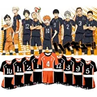 Haikyuu! Karasuno высокая яркость Shyouyou Nekoma школьный сексуальный костюм K-pop женский спортивный костюм наряд подарок