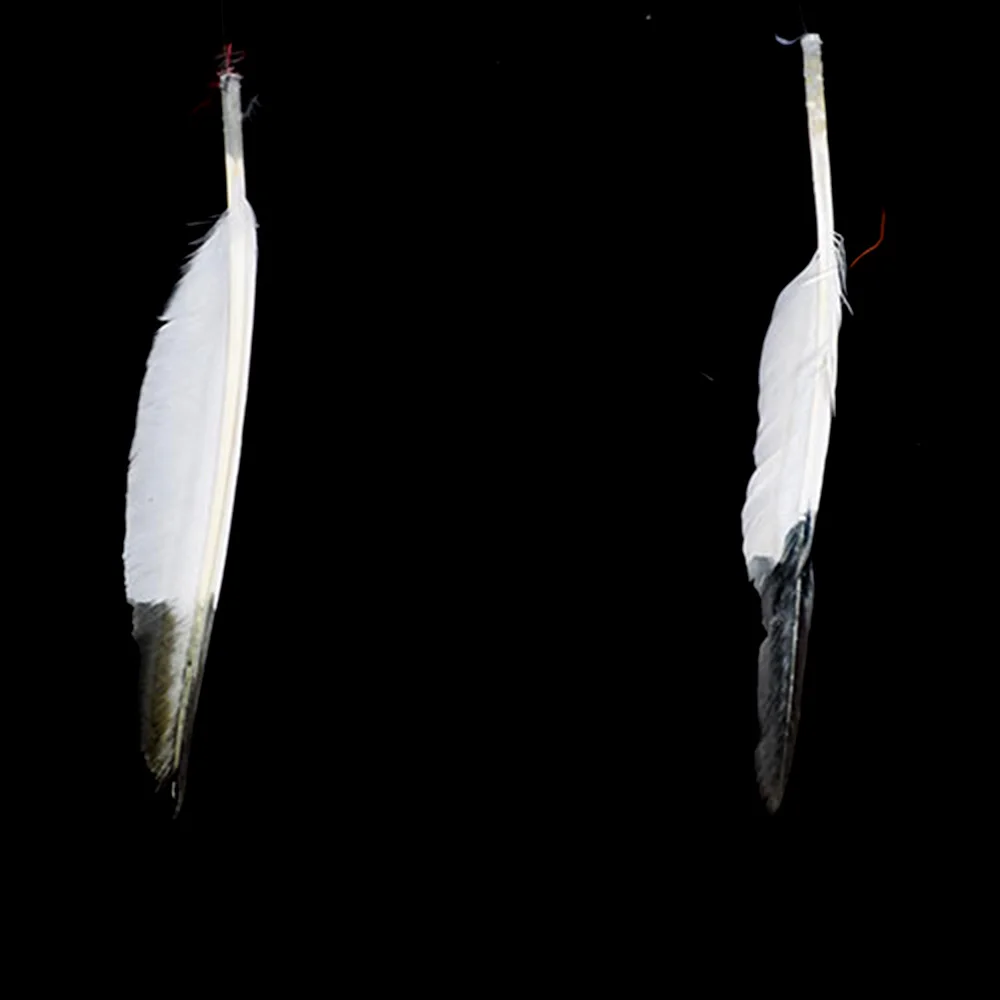 Свадебный головной убор с перьями индийский для косплея Emirates черный и белый