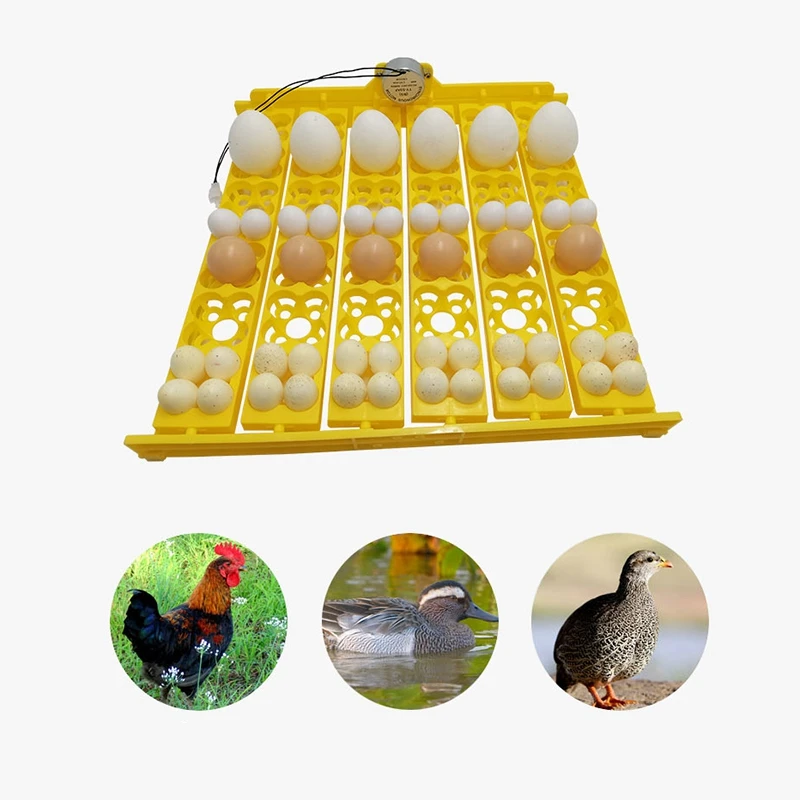 36 Eggs Automatic Incubator Egg Tray Motors Home Chicken Farm Poultry Hatching | Дом и сад