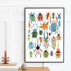 Абстрактный жук, Картина на холсте для детской, рисунок жуки насекомые, настенный плакат в скандинавском стиле, картины для домашнего декора