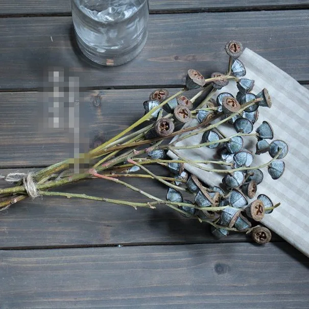 Сушеные цветы с солнечной системой Botany особенно увеличивающие голубой